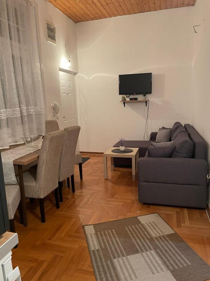 Vila Miletic Vrnjačka Banja Exterior foto