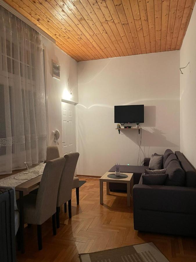 Vila Miletic Vrnjačka Banja Exterior foto