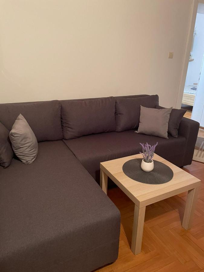 Vila Miletic Vrnjačka Banja Exterior foto