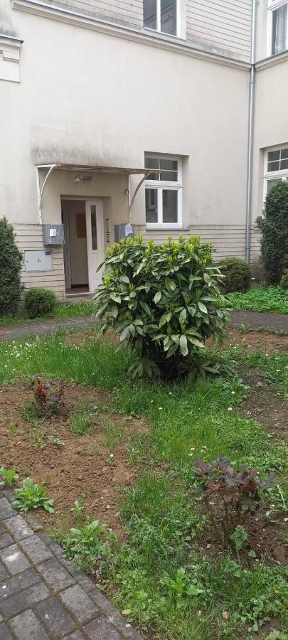 Vila Miletic Vrnjačka Banja Exterior foto